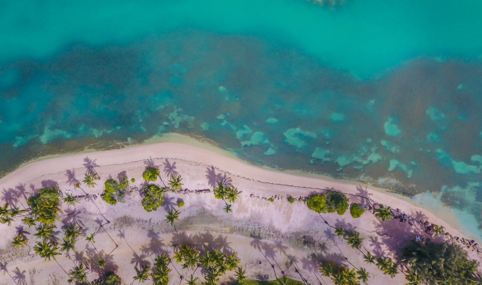 Aerial view of a palm-lined Caribbean beach and turquoise reef, the reward of the best Caribbean cruise itinerary
